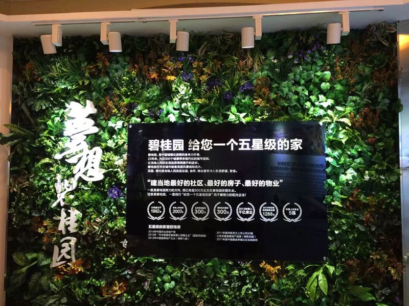 碧桂園